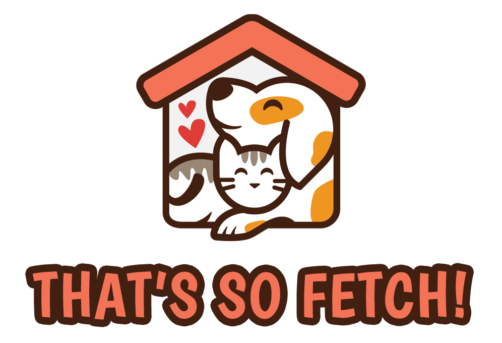 That's So Fetch!