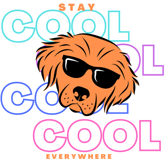cool dog 2